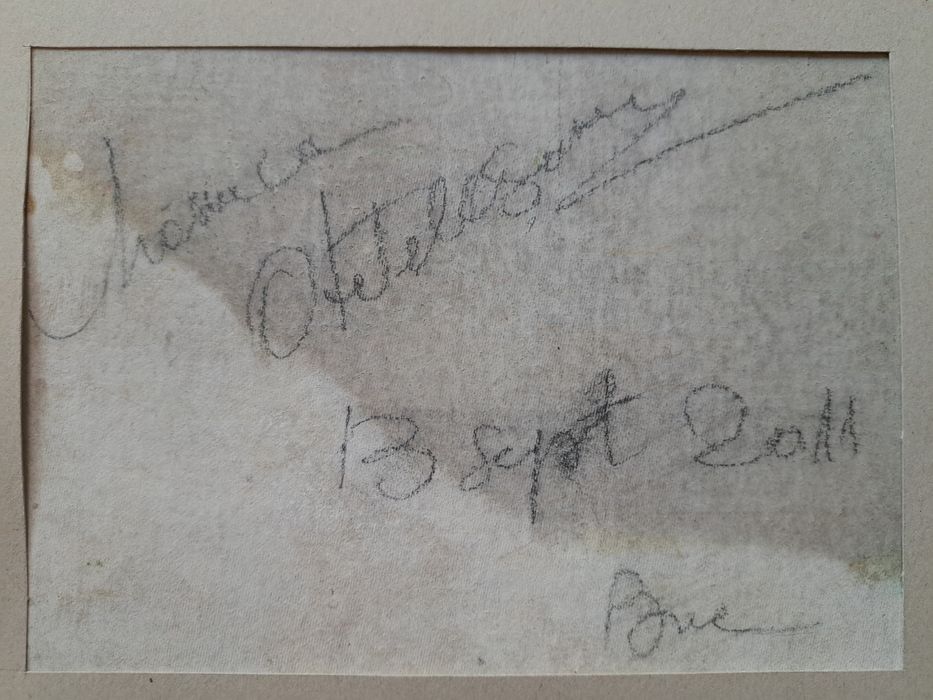 Pictură,2 buc."Lalele"și"Părăluțe",Maria Otilia(Măriuca) Oteteleșanu