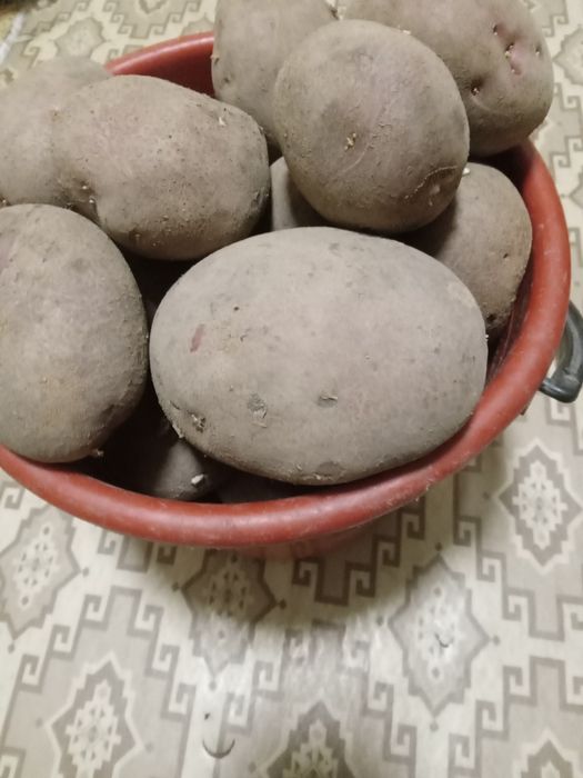 Продаётся картофель крупный.
