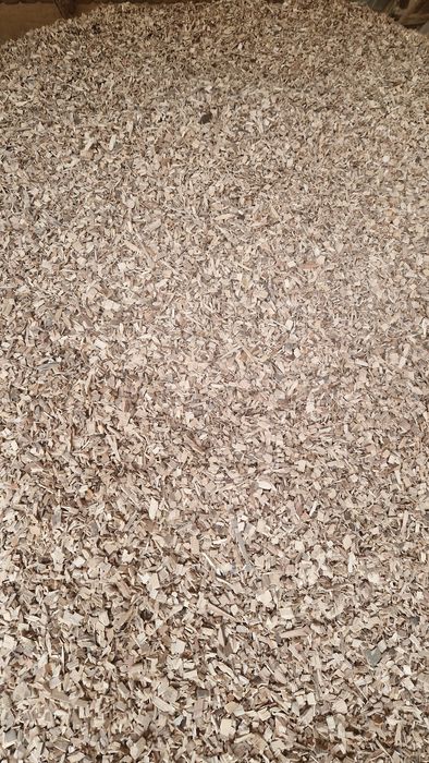 Tocatura lemn  Rumeguș