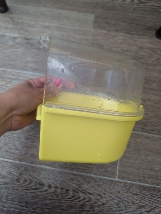 Ванночка для птичек