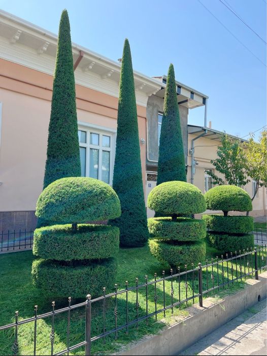 Садовник услуги Богбон