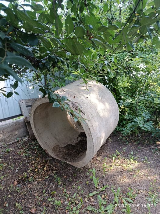 Бетонные кольца продам