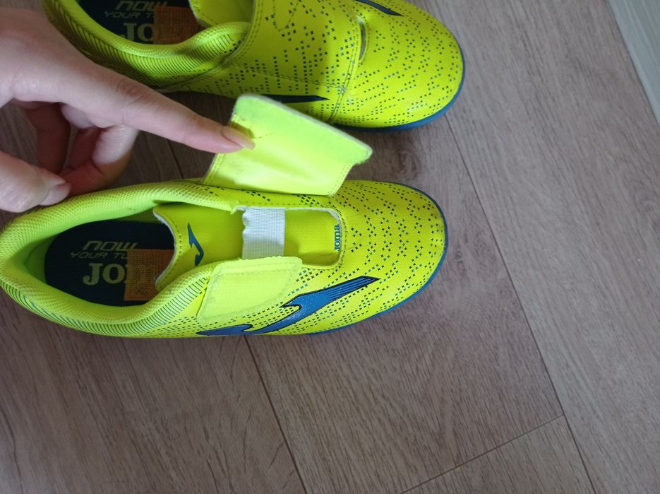 Сороконожка на липах