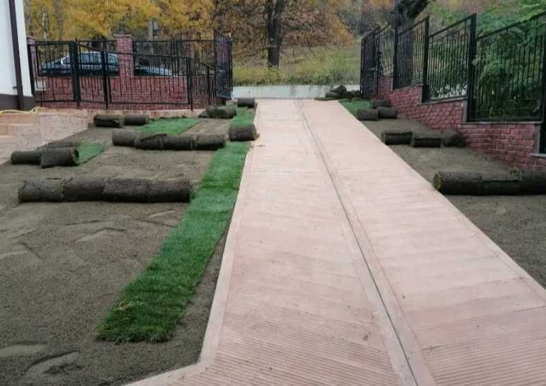 Gazon Rulou Calitate extra