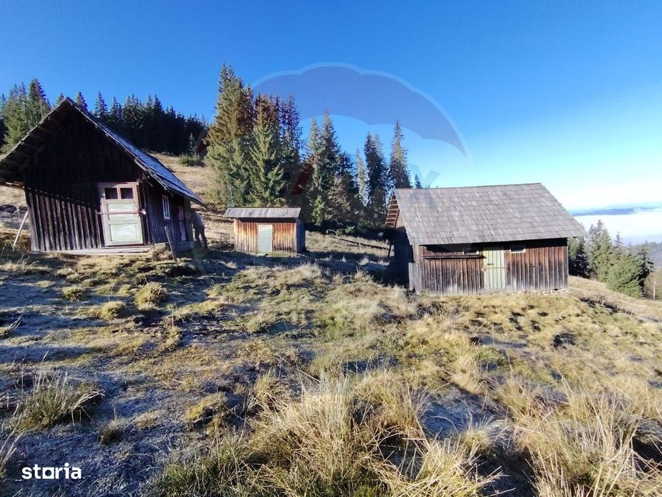 Teren 31,461mp Panaci / Prelungirea Ialovita