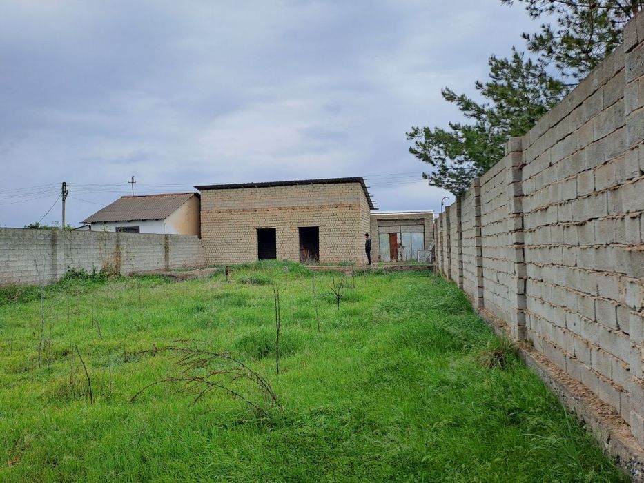 Дала ховли пулот даргом