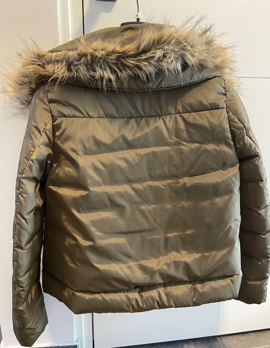 Geaca scurta , Motivi