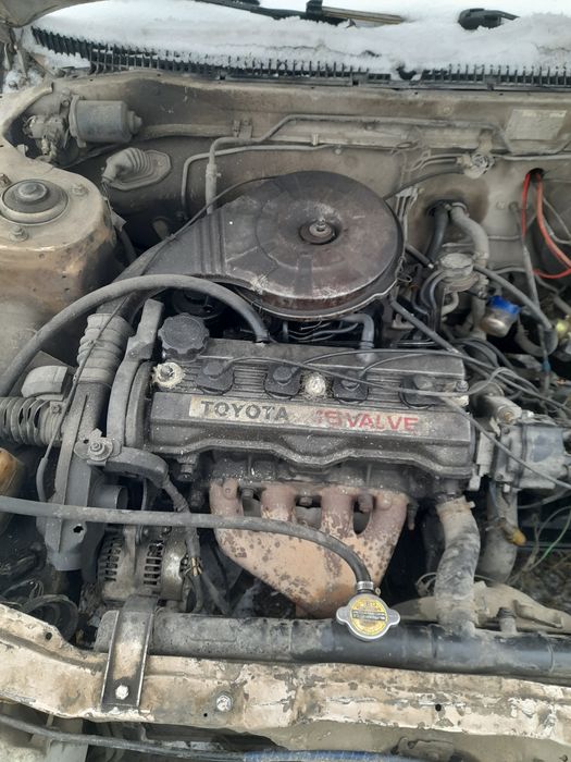 Таета карина 88год