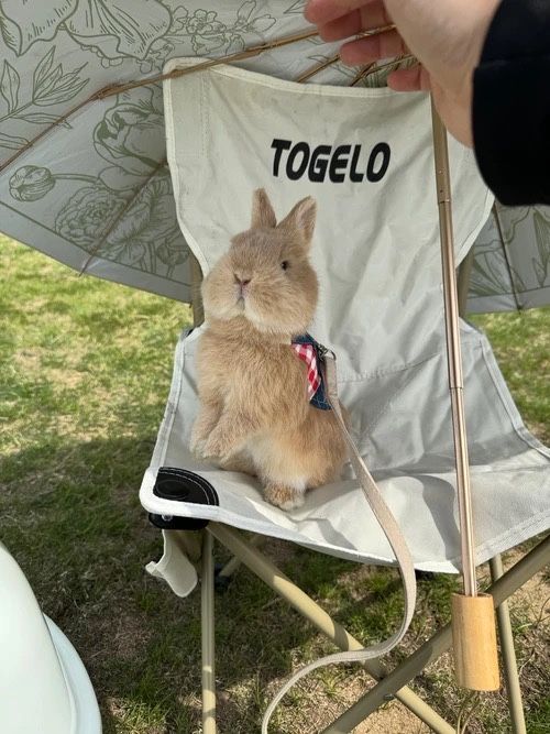 Telefon o‘rnini bosadigan do‘st