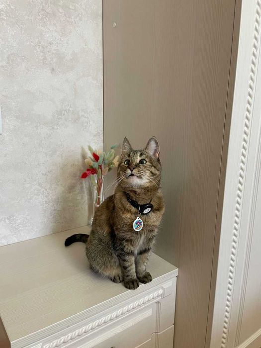 спальный гарнитур белого цвета