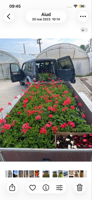 Vand remorca 2000 kg