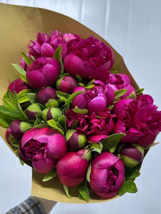 Пионы в наличии.