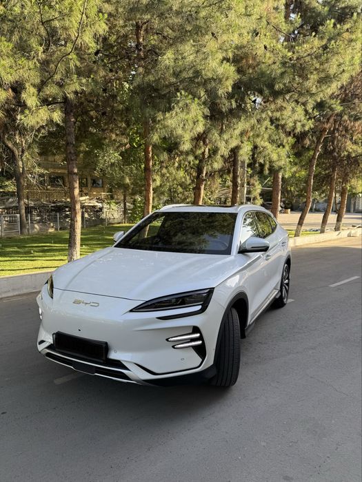 BYD champion 2023 sotiladi