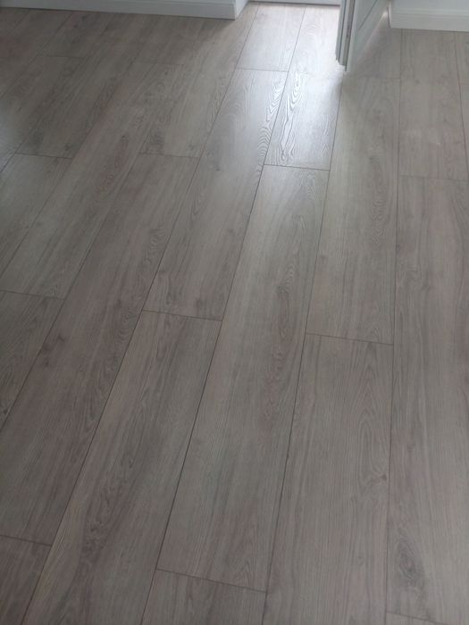 Execut zugrăveli profesionale