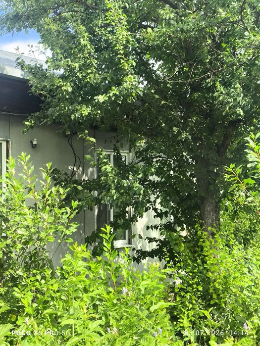 Продам дом в поселке Бурабай