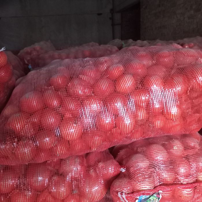 Лук хорошего качества сорт манас есть 45 тон.