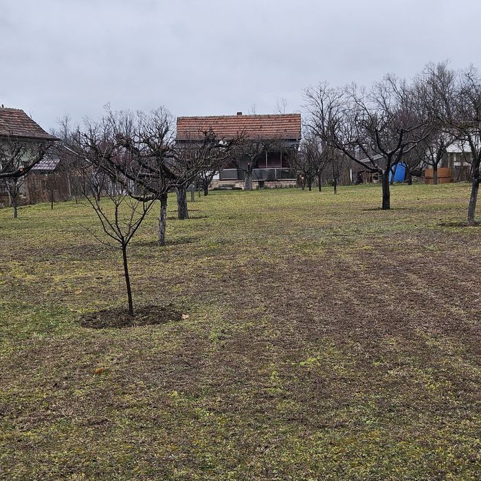 ВИЛЕН ИМОТ Врачански лозя,  м. Янкин връх