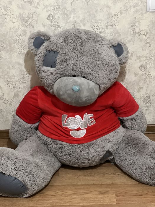 Teddy kotta yangiday