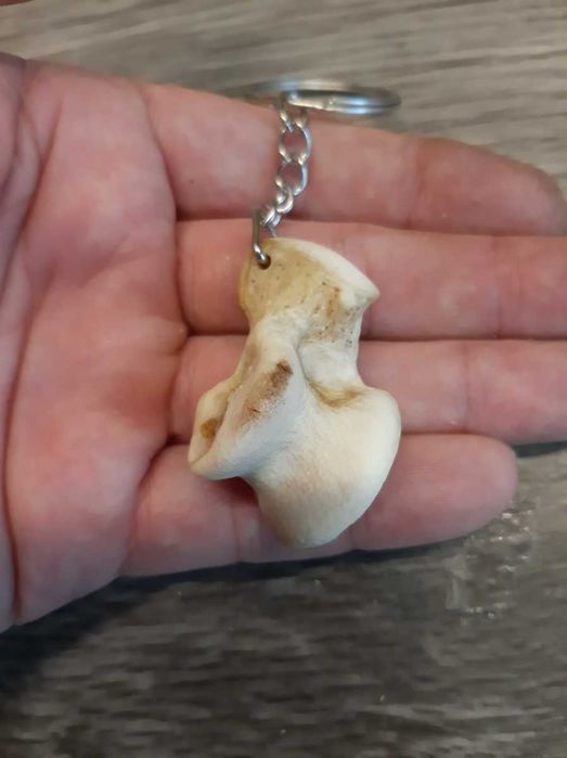 Асык волка амулет.