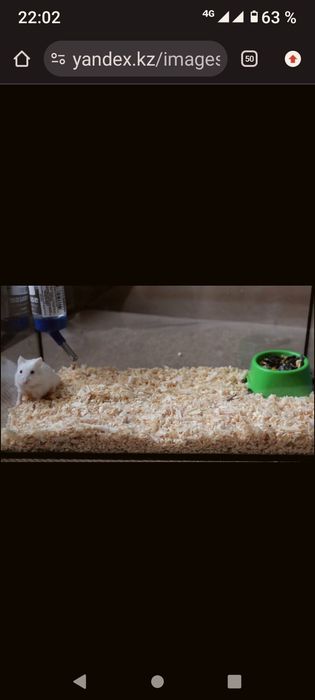 Аквариум для хомячка