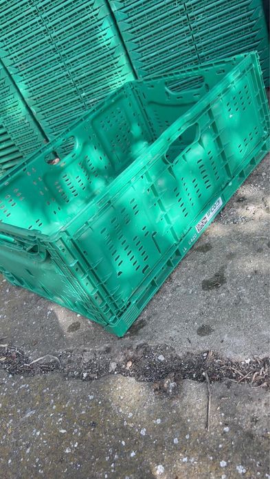 Lazi pliabile din plastic diferite dimensiuni ifco