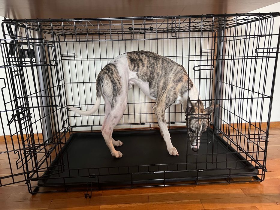 Клетка за домашни любимци