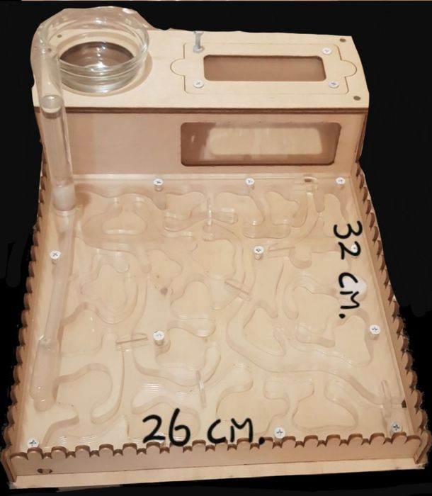 Муравьиная ферма, формикарий с муравьями