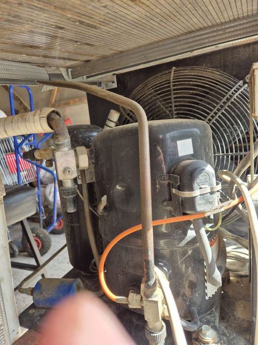 Vând vitrina frigorifica