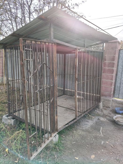 Вальер идеальном состоянии