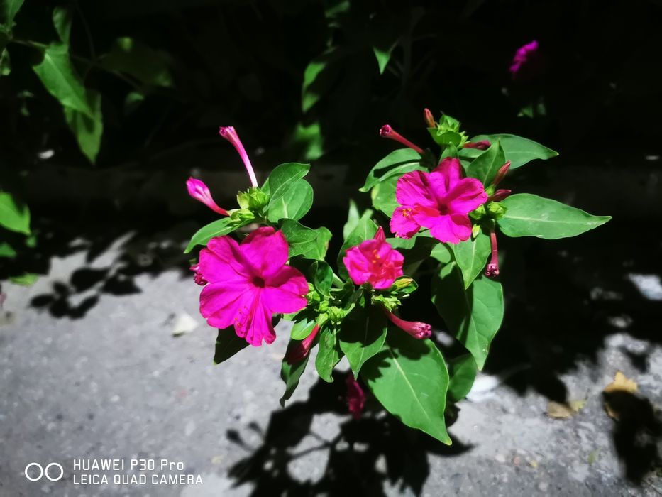 Huawei p30 pro флагман