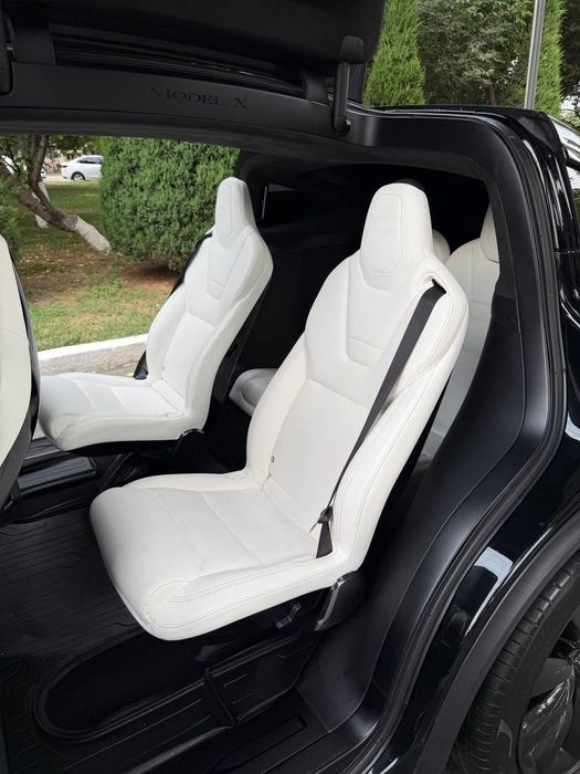 Tesla Model X Perfomance Duall Motor