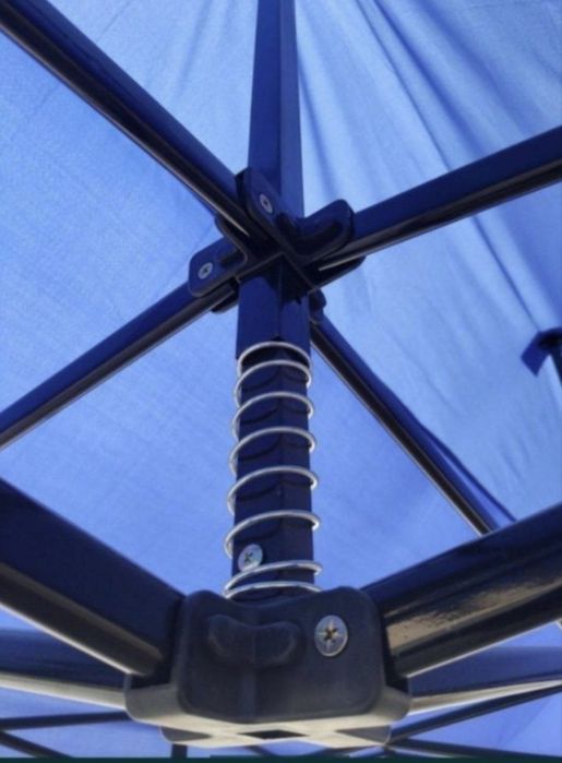 Zontik naves arginal