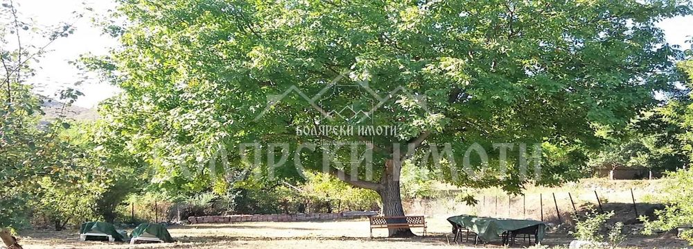 Дава се под наем Къща в с. Самоводене, Област Велико Търново - 120 кв.м за 598.23 € - Снимка #10