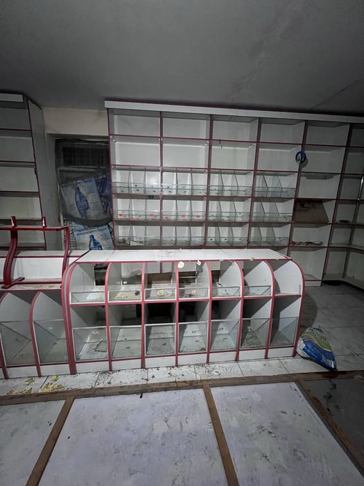 Magazin polkasi yasalgan tayor