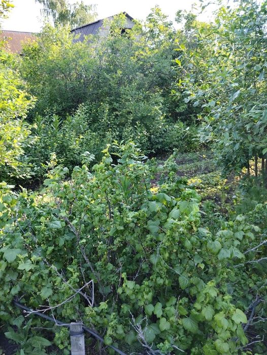 дача по красноярской трассе