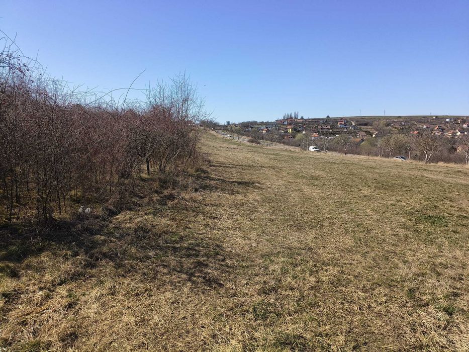 Teren 400 mp Daia Nouă - Ideal Casă de Vacanță sau Locuință