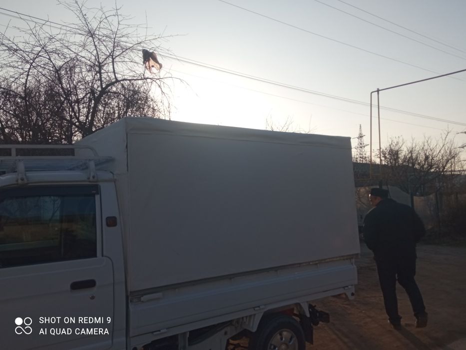 Лабони Тенти сотилади