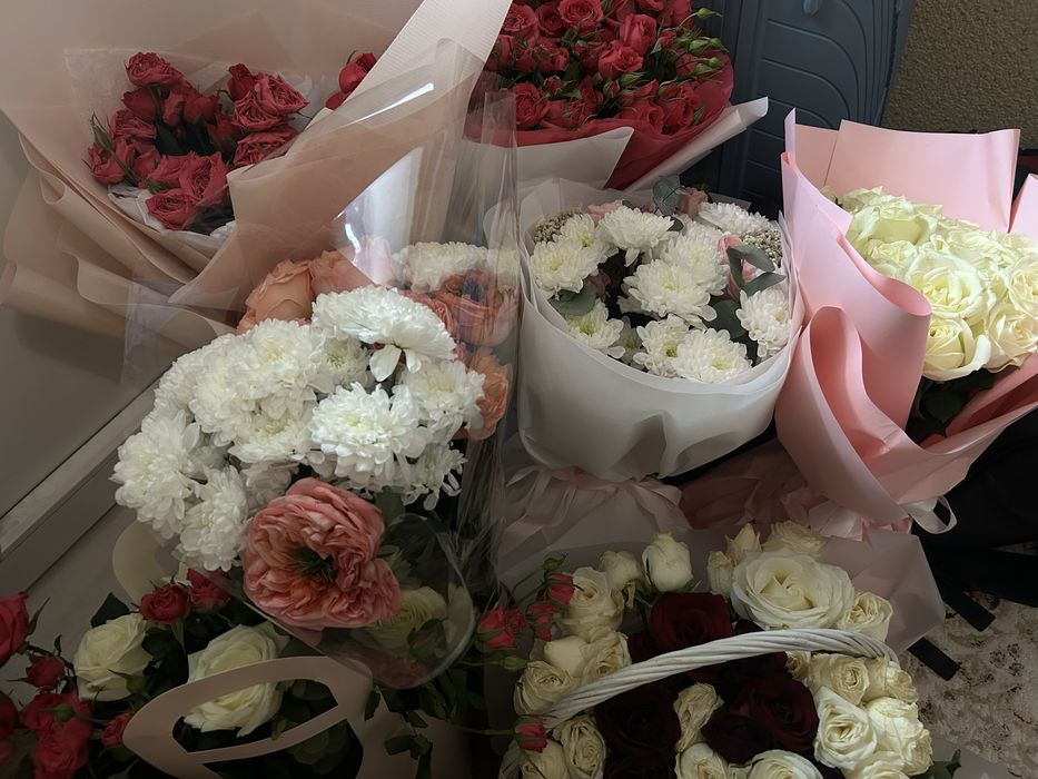 Продам цветы недерого