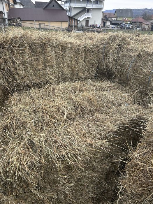 Vand baloți de fan si otava