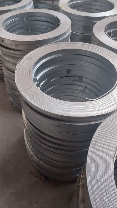 Atsikofka palasa hohlagan razmerda bor