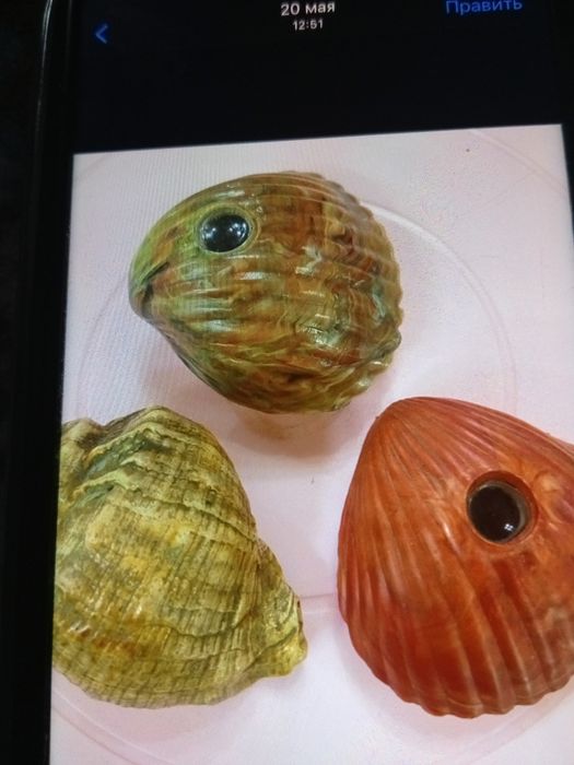 Ракушки  советские