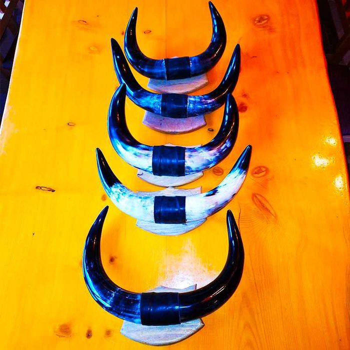 Декорация от рога на воден бивол