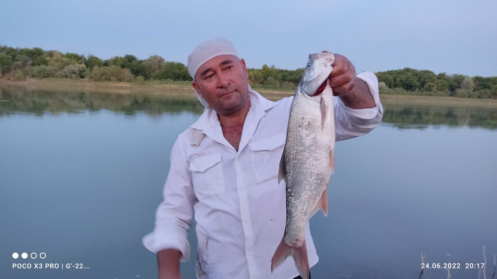 Рыбалка, стриммеры. Искусственные приманки для ловли Жереха.