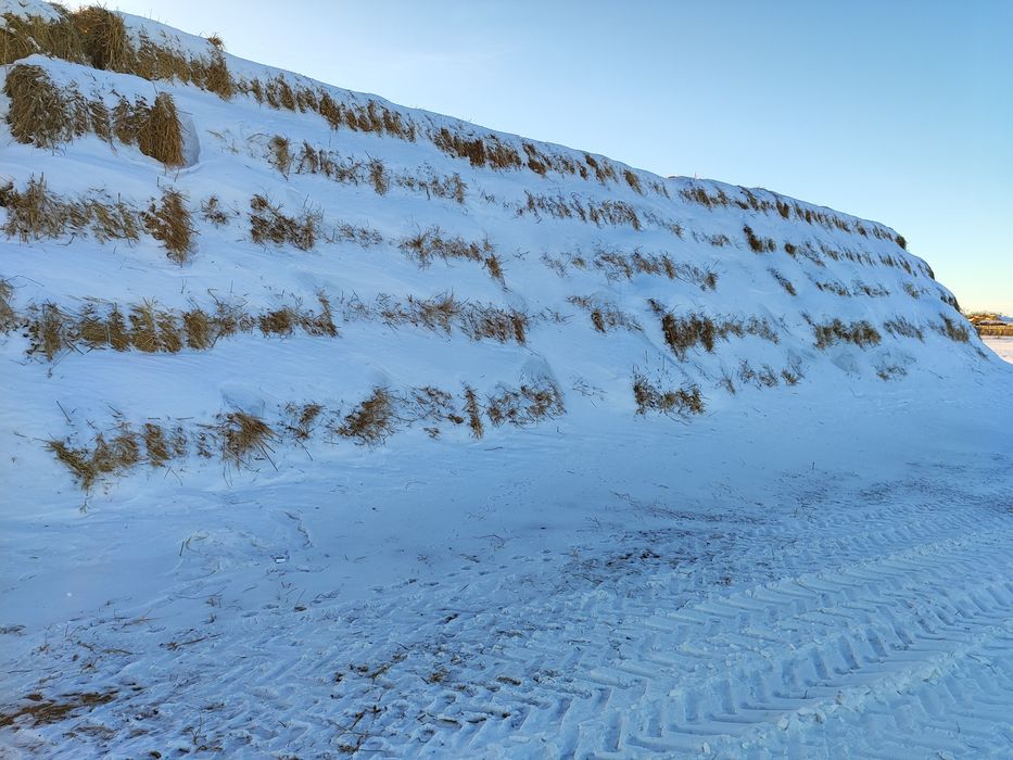 Продам сено рулоны лугавое