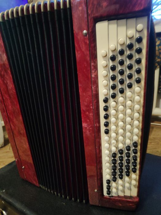 Баян Тульский в чехле.