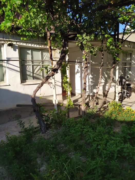 Дом на участке 4,35 сот. От М.Улугб. военкомата 100метр. Есть варианты