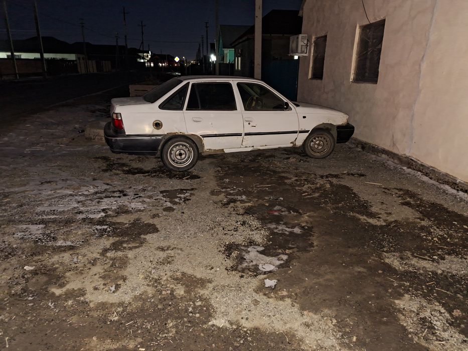 Нехия 1. 2006 год