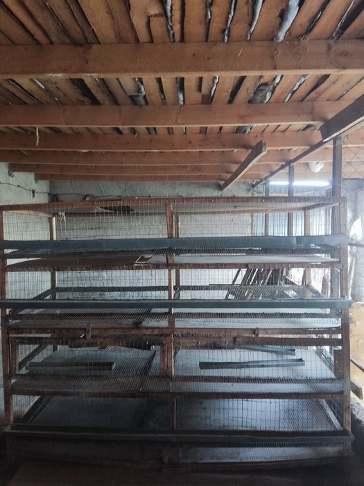 Клетка для перепелов