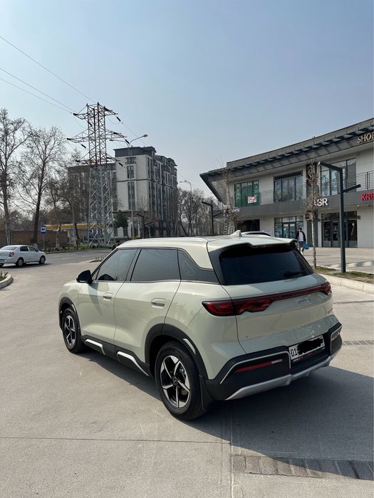 byd yuan up 2025 yil ful