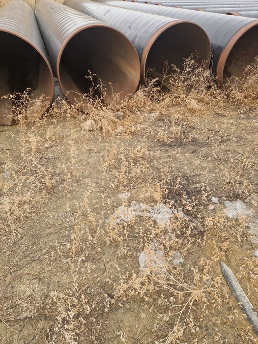 Трубы  стальные 1220×16